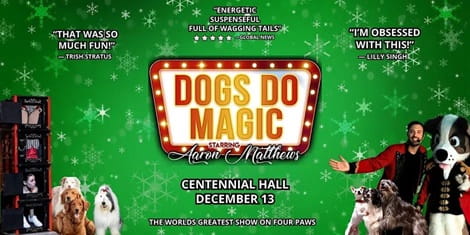 Dogs Do Magic A Canine Christmas